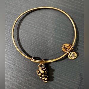 🔥Alex and Ani grape bracelet